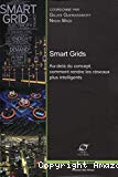 Smart Grids : au-delà du concept, comment rendre les réseaux plus intelligents