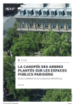 La canopée des arbres plantés sur les espaces publics parisiens