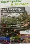 Face à l'urgence, le plan arbres de Brest