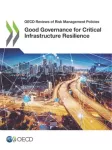 Good governance for critical infrastructure resilience