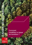Comment modéliser le risque de transition ?