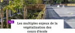 Les multiples enjeux de la végétalisation des cours d’école