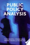Public Policy Analysis