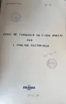 Essai de typologie du tissu urbain par l'analyse factorielle