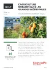 L'agriculture urbaine dans les grandes métropoles