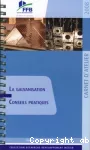La galvanisation