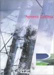 Aymeric Zublena