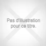 Stage Etude et Recherche. Etude de l'impact de l'implantation d'une ligne de TGV en France. Promo 55